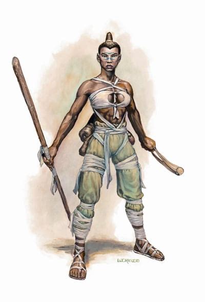 monk multiclass 5e.
